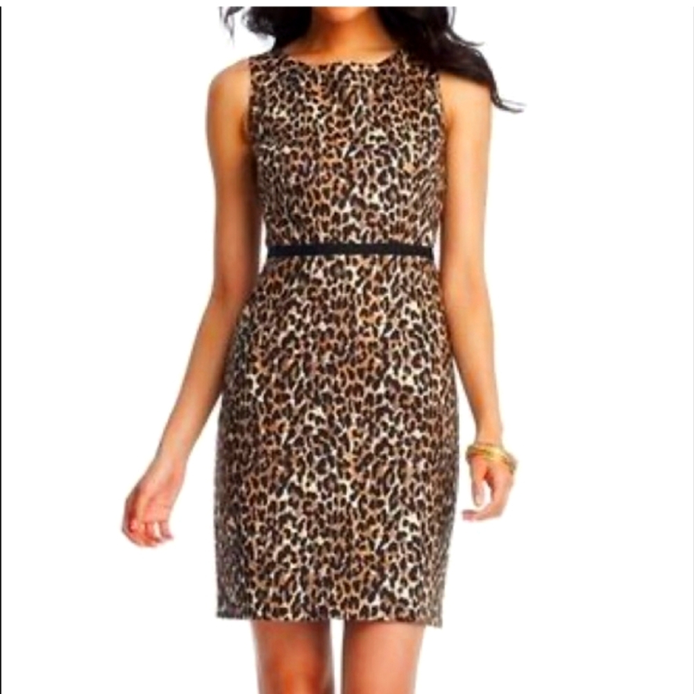 LOFT Ann Taylor‎ Women's Cheetah Print Sheath Sleeveless Dress Size 6